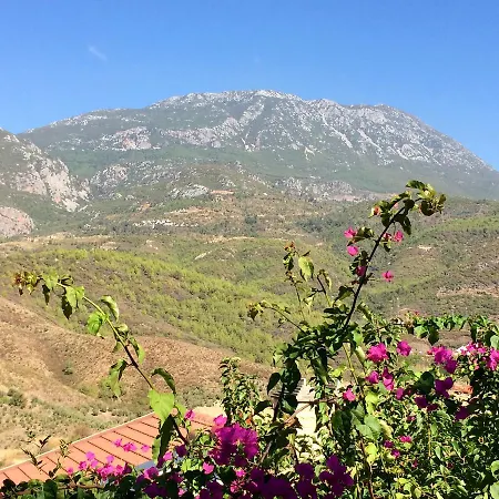Anastasia Διαμέρισμα Kargicak (Alanya)